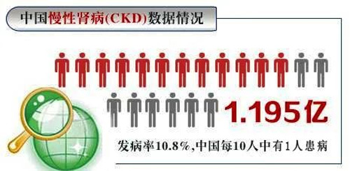 【世界肾脏日】保护肾脏健康，拥有健康体魄！