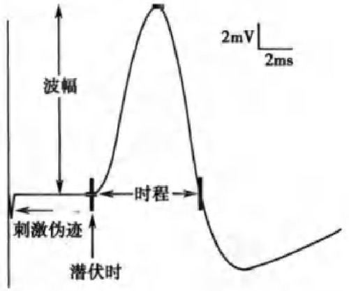 潜伏期（时）