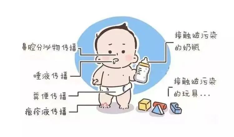 @家长们！幼儿手足口病高发，这份预防知识请查收！