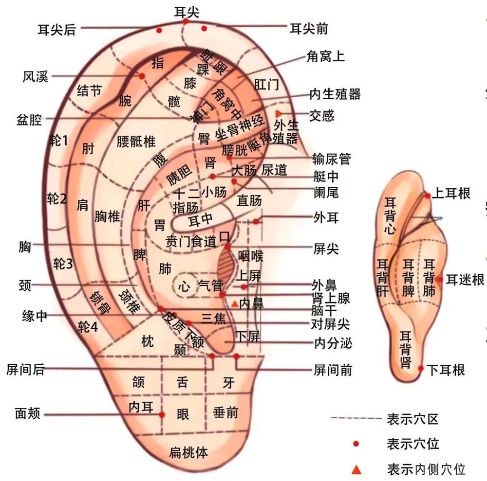 流感来袭不可怕，中医防治有办法！