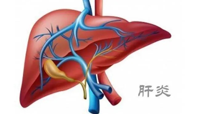 “肝”货来了，摆脱乙肝阴影的这份指南，建议收藏！